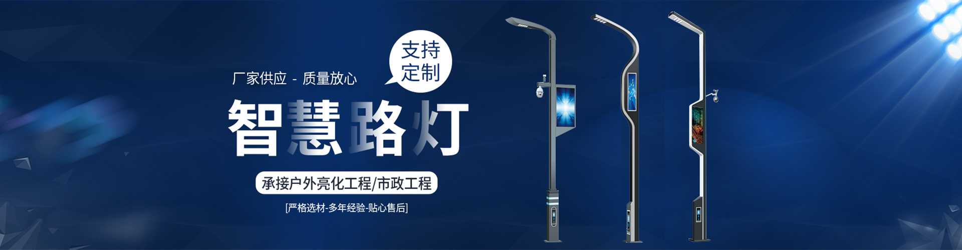 舟山市太阳能路灯定制厂家